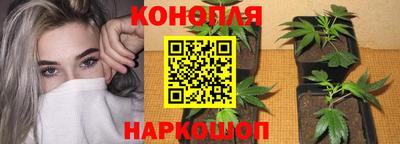 2c-b Кимры
