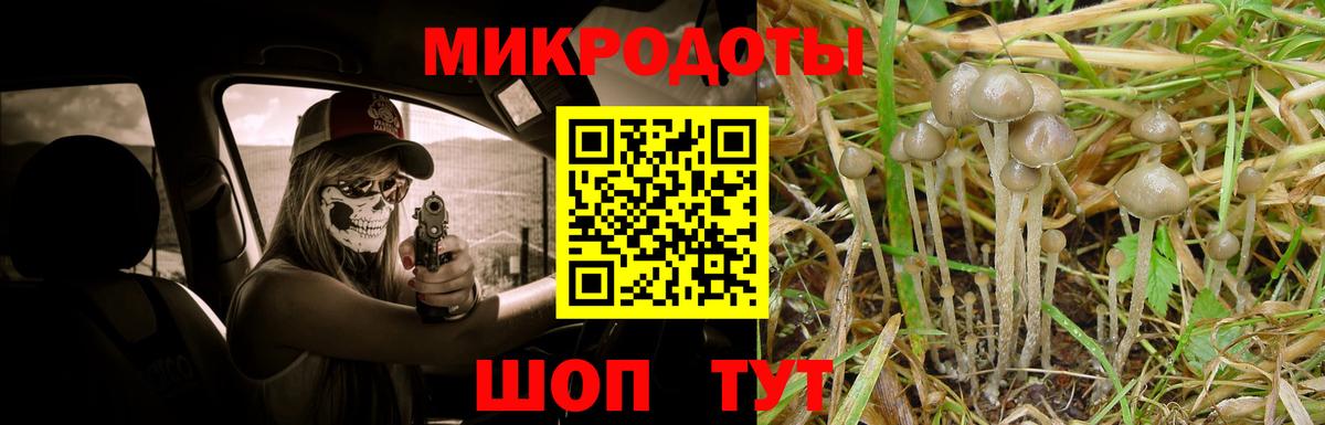 Псилоцибиновые грибы Psilocybe Добрянка
