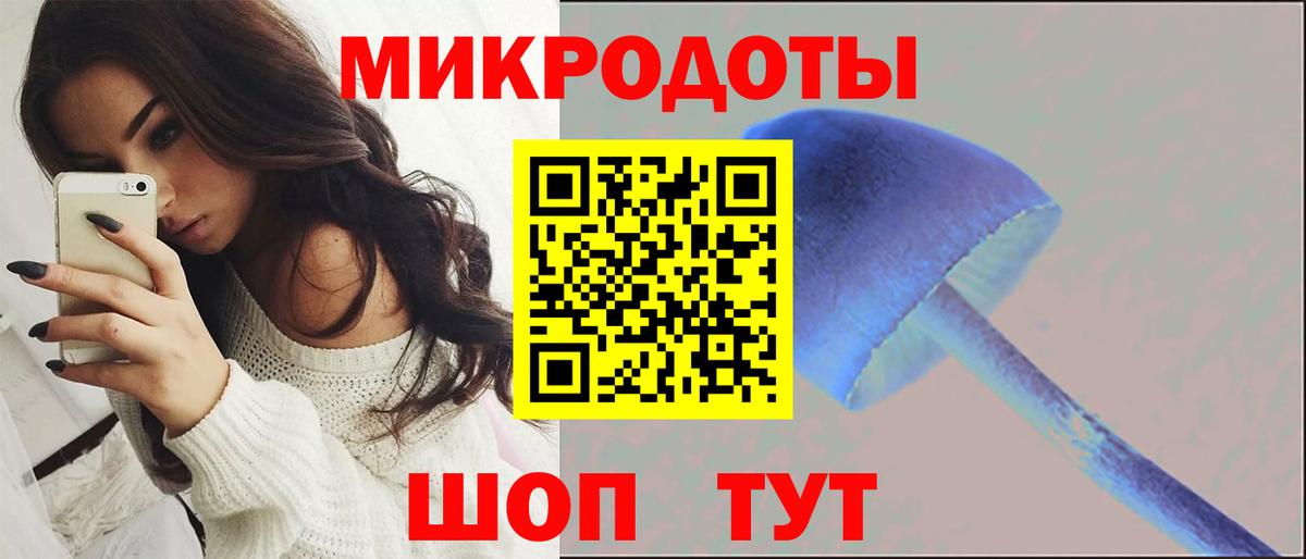 Добрянка  Галлюциногенные грибы ЛСД  Вход с VPN 